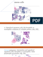Normal Squamous Cells