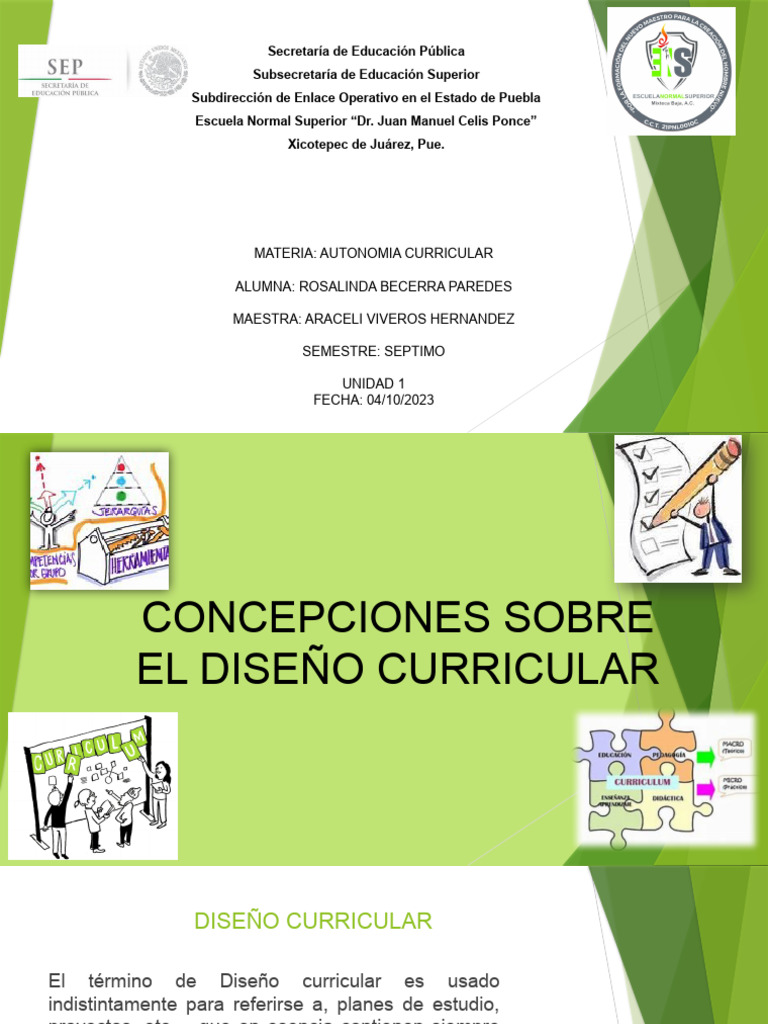 Concepciones del Diseño Curricular | PDF | Plan de estudios | Metodología