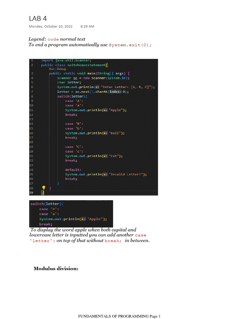 Fundamentals of Programming - Lab 4 | PDF