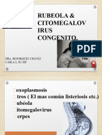 citomegalovirus y rubeola