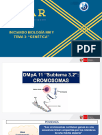 DMpA 11 - Cromosomas