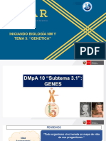 DMpA 10 - Genes