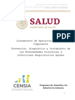 Lineamientos 2020 Prevención, Diagnóstico y Tratamiento de Las Enfermedades Diarreicas e Infecciones Respiratorias Agudas