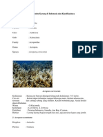 Download 1 Beberapa Spesies Terumbu Karang Di Indonesia Dan Klasifikasinya by Grizzly Pradipta SN67736720 doc pdf