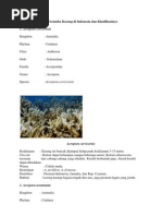 Download 1 Beberapa Spesies Terumbu Karang Di Indonesia Dan Klasifikasinya by Grizzly Pradipta SN67736720 doc pdf