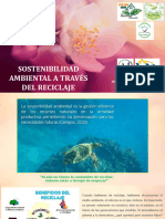 Sostenibilidad Ambiental - Reciclaje