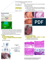 15 - 09 Doenças Dermatológicas Que Acometem A Mucosa Oral C Marc