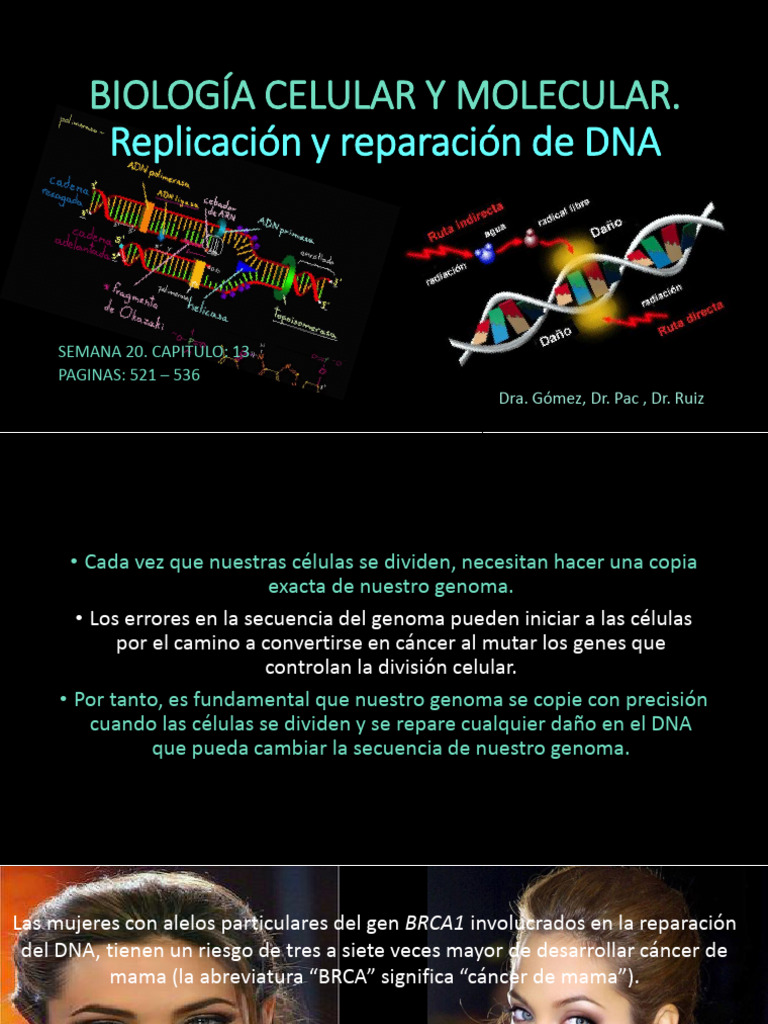 Replicación y reparación del DNA | PDF | Adn | Replicación De Adn