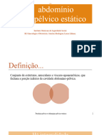 Peritônio Pélvico e Estática Abdominopélvica