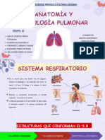 Anatomia y Fisiologia Pulmonar