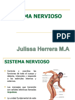 3.Sistema Nervioso (1)