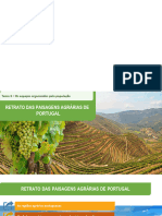 Retrato Das Paisagens Agrárias de Portugal