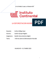 INFORME