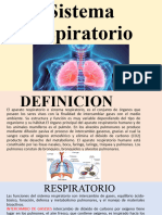 Sistema Respiratorio 