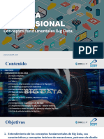 1 Big Data Professional Fundamentos v2 - Conceptos