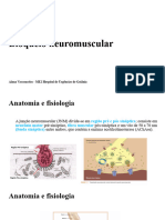 Bloqueio Neuromuscular