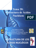 Estructura de Los Ácidos Nucleicos
