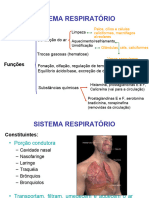 aula_respiratorio-09 (2)
