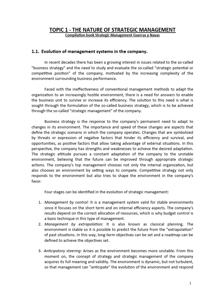 The Strategic Direction of The Company (Ships and Wars) | PDF