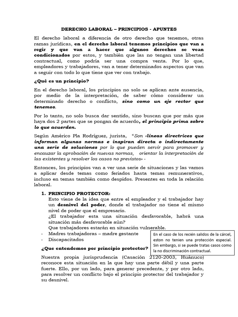 Principios del Derecho Laboral | PDF | Derecho laboral | Justicia