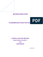 Microblading-Kurs 2017 PDF