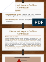 Presentación Efectos Del Negocio Jurídico Contractual