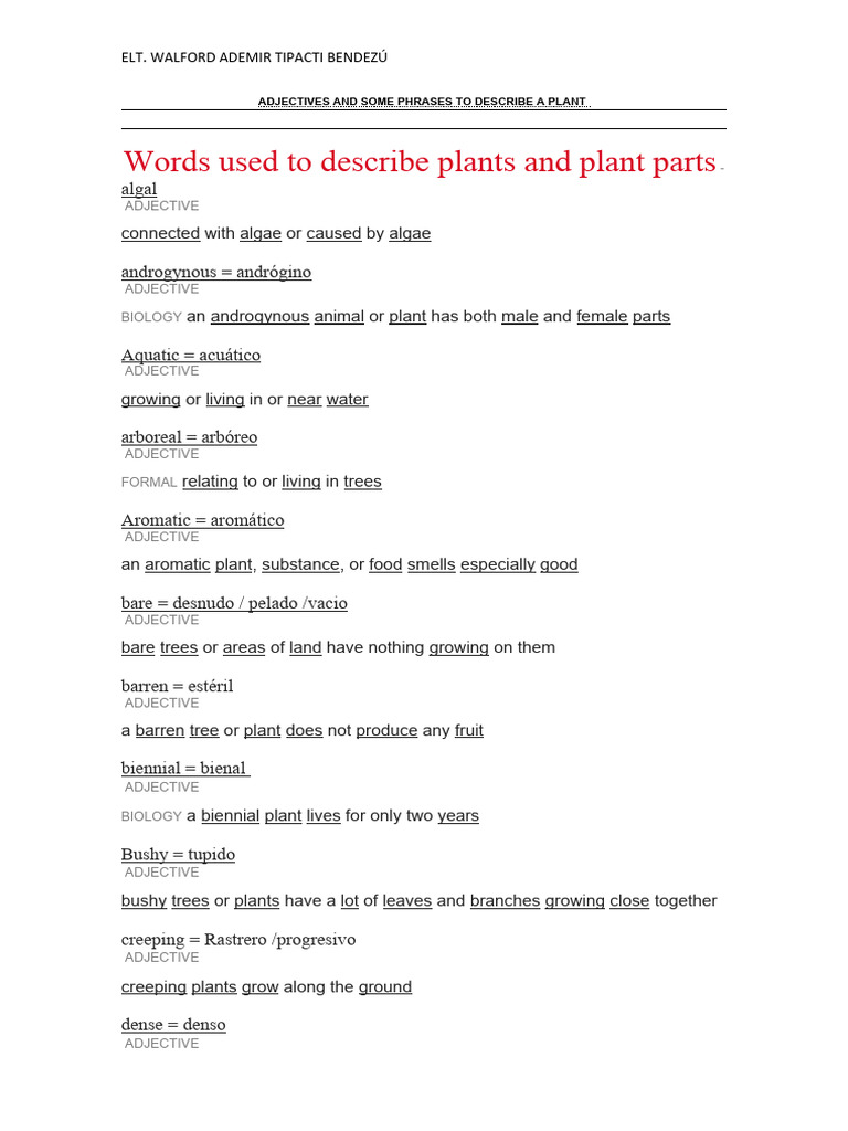 Adjectives For Describing A Plant PDF Plants Flowers