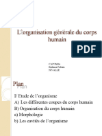 Lorganisation Générale Du Corps Humain