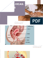 062 Apresentacao Dores Pelvicas e Principais Causas