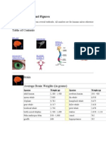 Brain Facts and Figures