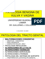 23-patologiabenigna-malignavulvayvagina-101020105638-phpapp01