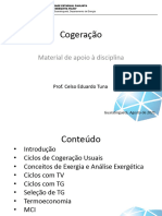 Cogeração Uruguai 2021