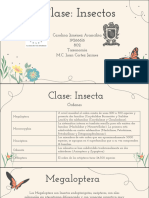 Clase Insectos
