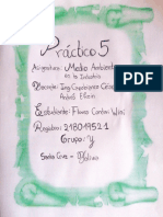 Práctico - 5 M. A. Wini Flores
