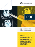 Bases Neurobiológicas Del Aprendizaje para La Calidad Educativa