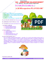 Proiect: Plantele