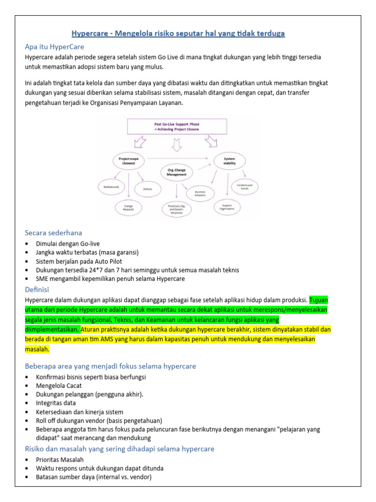 Pendekatan Hypercare v1 | PDF