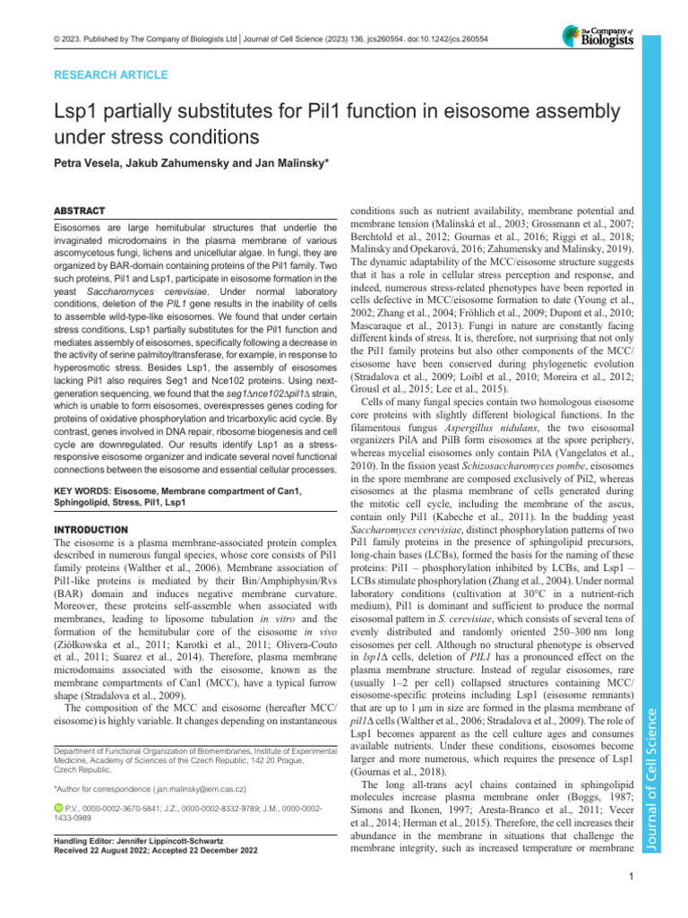 Jcs 260554 | PDF | Foreign Language Studies | Wellness
