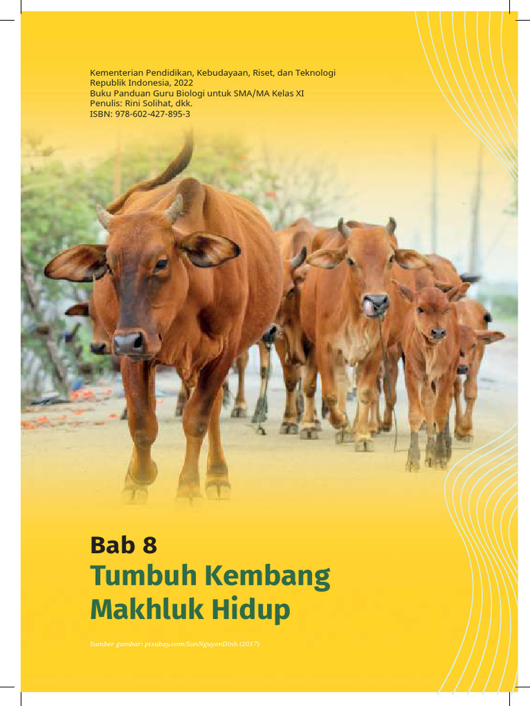 Buku Guru Biologi - Biologi - Panduan Khusus Bab 8 - Fase F | PDF