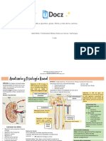 Anatomia y Fisiologi 73337 Downloadable 2522013