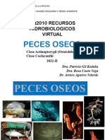 5 - RRHH Peces Oseos 2022-1