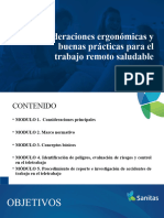 Consideraciones Ergonomicas y Buenas Prácticas para El Trabajo Remoto Saludable