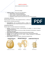 Tipos de Articulaciones