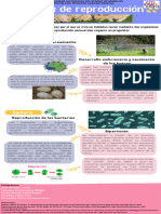 Infografia Biología. Tipos de Reproducción