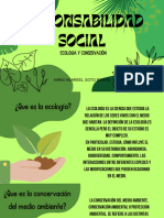 Responsabilidad Social