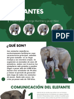 Presentacion Informativa de Animales Salvajes Fotografico Verde
