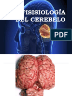 Neurofisiologia Cerebelo