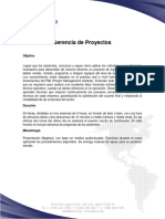 Gerencia de Proyectos