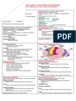 Hoja de Referencia de Rehabilitación