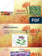 Computer Project ''Flowers'' by Shreemayi Gunjal